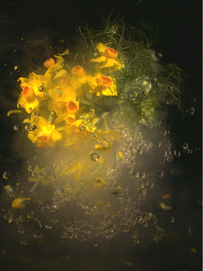 Blooming Flower Jacket【limited edition collection】 【Unisex】