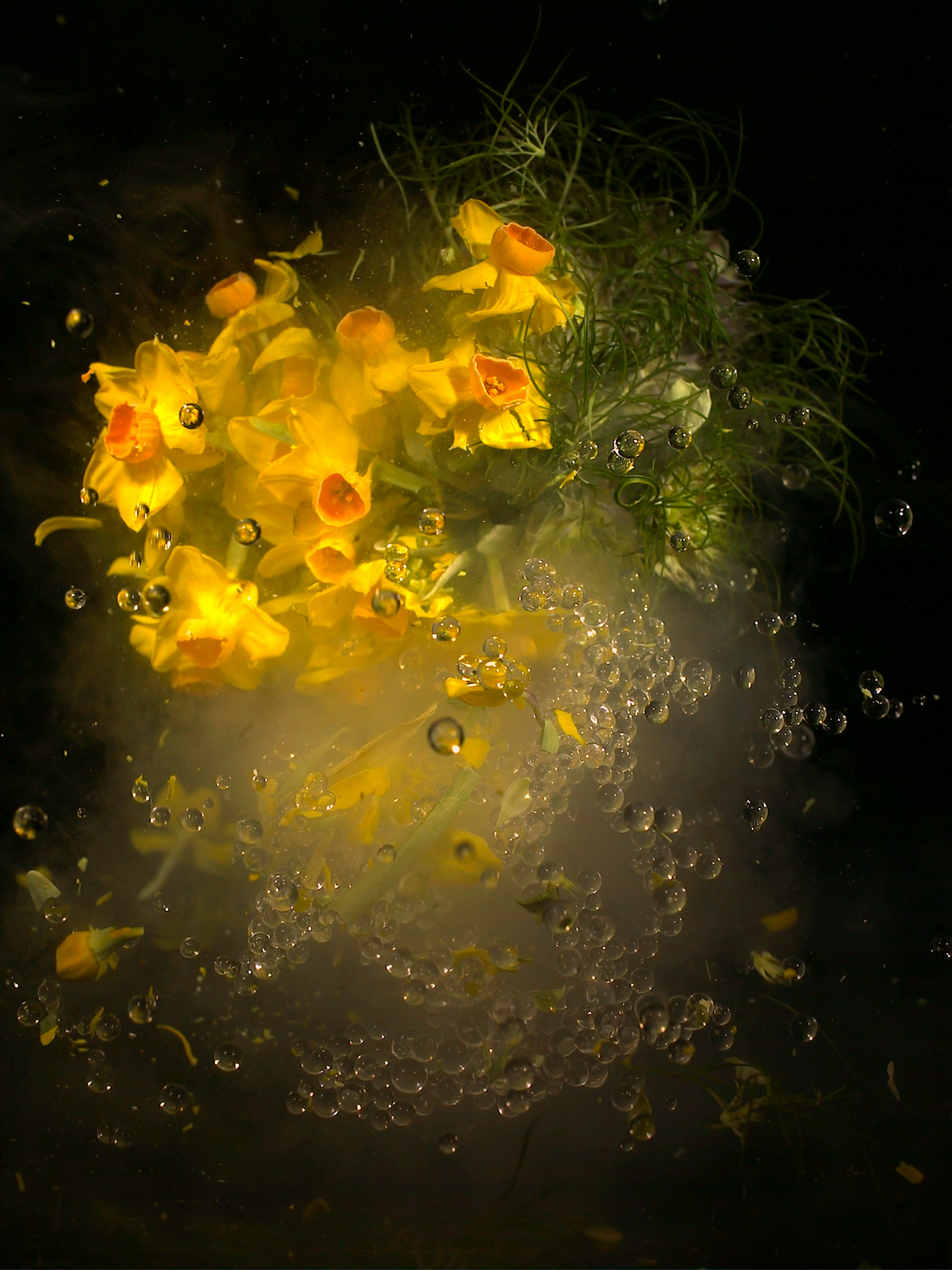 Tapestry flower 001