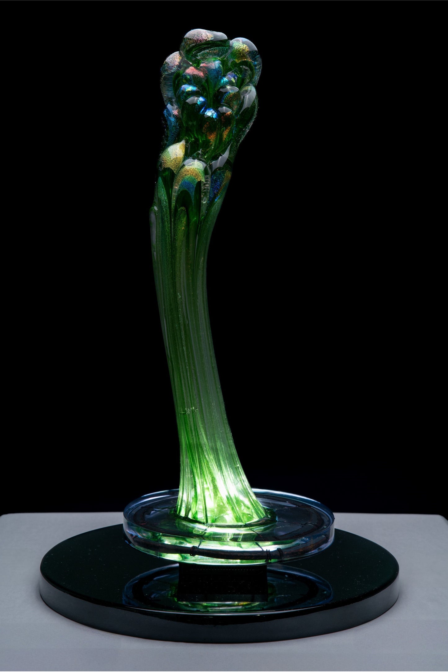 ikebanalight 054  green